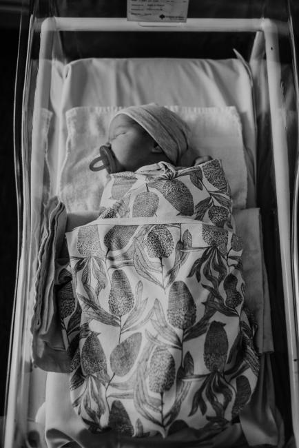 Black and white top down image of new baby in bassinet in the hospital during Perth Fresh 48 session