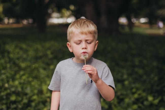 Little boy blowing a flower during a family photography session at Hyde Park in Perth