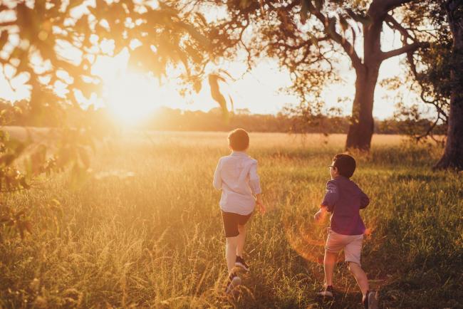 Two brothers running in the field during a golden hour family photography session at Perry's Paddock in Perth