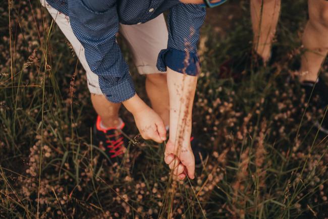 Little boy pulling up weeds during a golden hour family photography session at Perry's Paddock in Perth