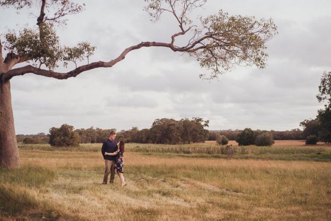Couple under a tree during a Perth family session at Perry's Paddock