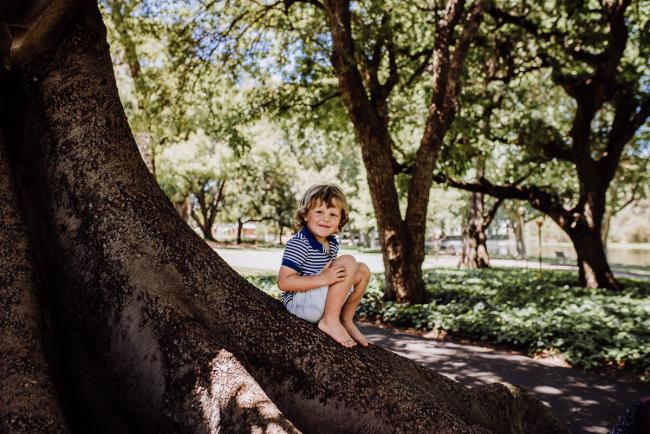 20181104-DSC_7327 Little boy sitting on a branch of a tree during a mini session with Perth family photographer at Hyde Park