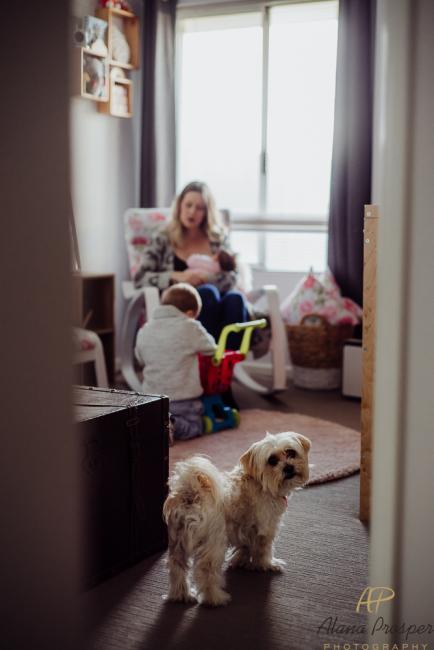 20180703-DSC_4538 Mother breastfeeding her new baby in the nursery while her toddler sits at her feet and her dog stands in the doorway during Perth newborn photography session