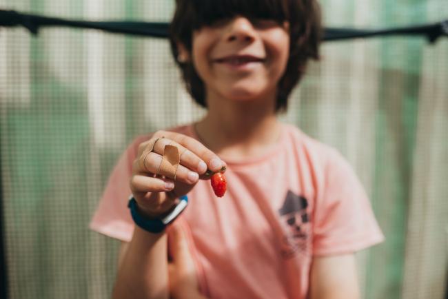20190302-DSC_9572 Boy holding a small strawberry towards the camera with Perth family photographer