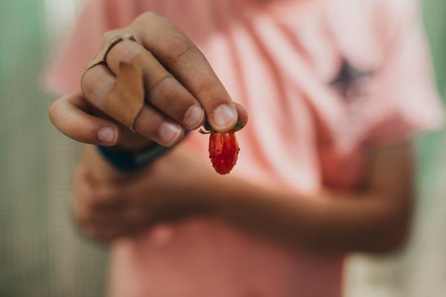 20190302-DSC_9574 Close up of boy holding small strawberry close to the camera with Perth family photographer
