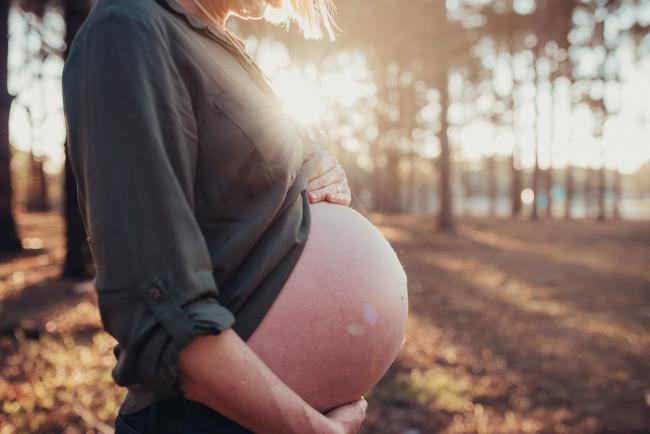 Bare pregnant tummy during a Perth maternity session at The Pines during Golden Hour
