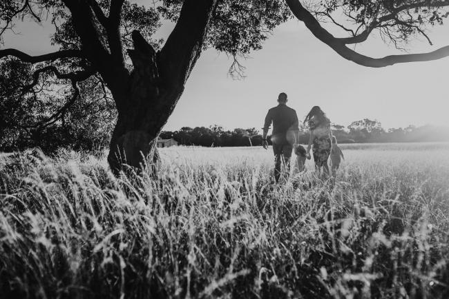 Black and white image of family walking away during Perth maternity photography session during golden hour at Perry's Paddock