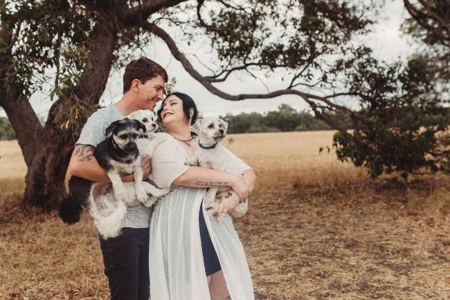 Pregnant woman holding dog while leaning back to kiss partner who is holding two dogs with Perth maternity photographer at Perry's Paddock