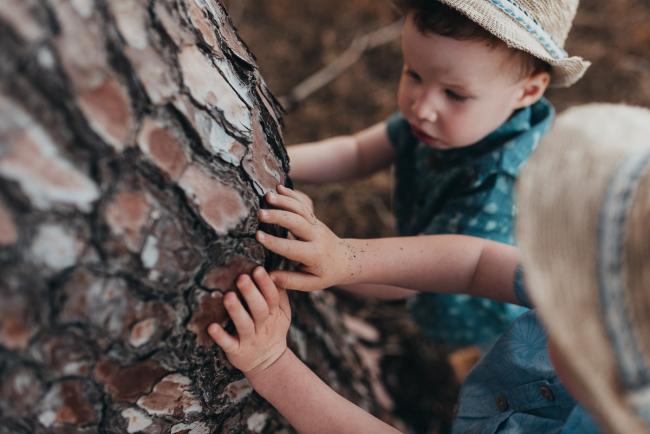 little boys hands touching tree during Perth family photography session at The Pines Perth with Alana Prosper Photography