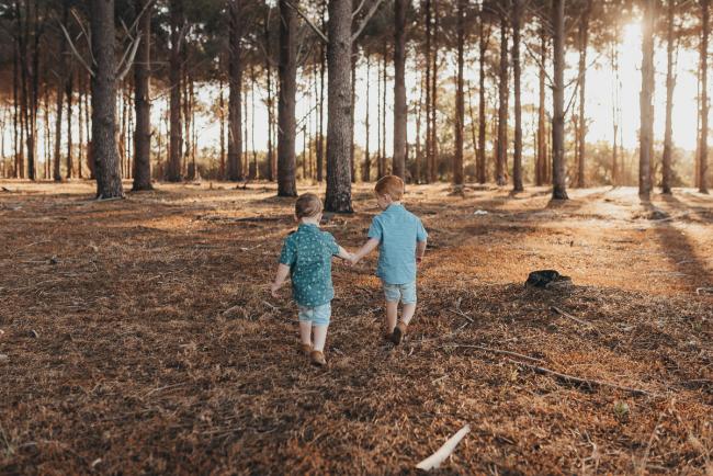Two little boys holding hands and walking away in the forest during Perth family photography session at The Pines Perth with Alana Prosper Photography